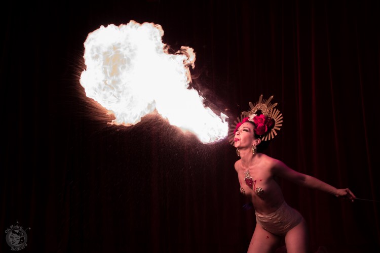 Wasabassco 10th Anniversary